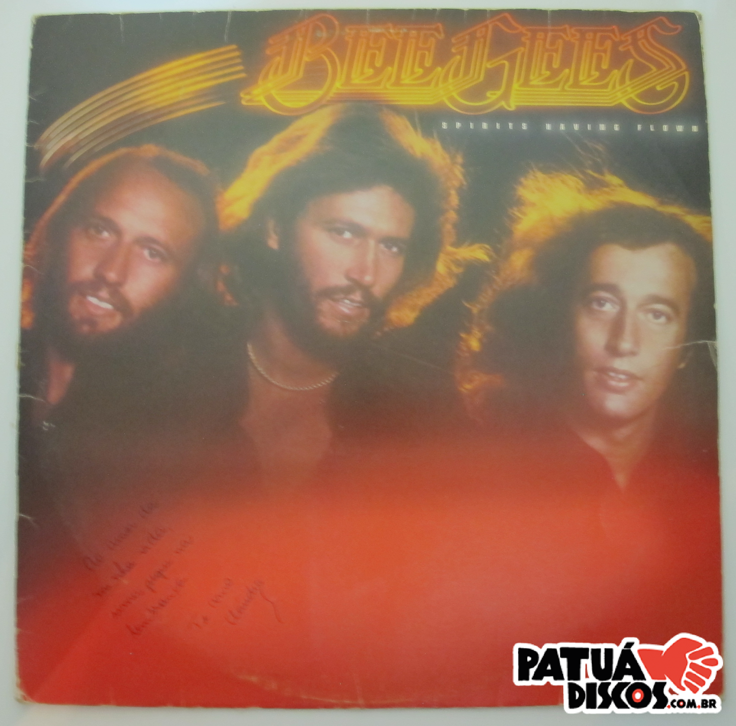 Bee Gees - Spirits Having Flown - LP
