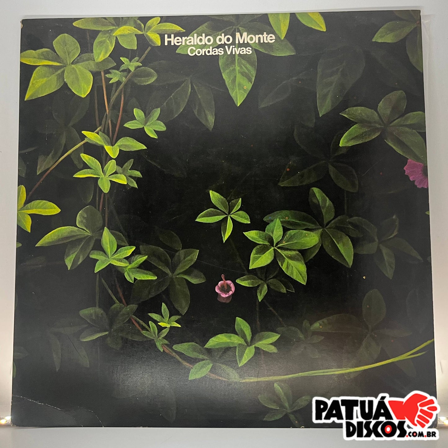 Heraldo Do Monte - Cordas Vivas - LP