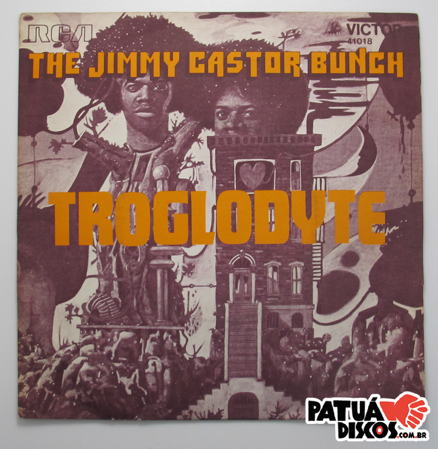 The Jimmy Castor Bunch - Troglodyte - 7"
