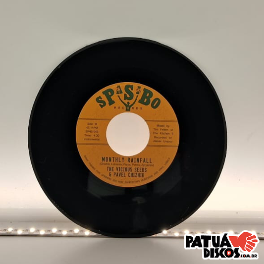 The Vicious Seeds & Pavel Chizhik - Village Hassle - 7"