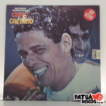 Chico & Caetano - Melhores Momentos De Chico & Caetano - LP