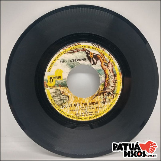 Ray Stevens - The Streak - 7"